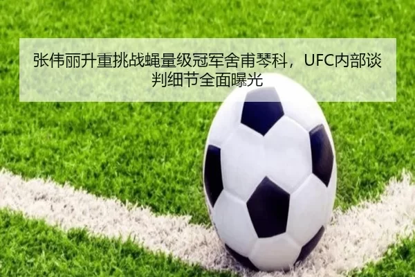 张伟丽升重挑战蝇量级冠军舍甫琴科，UFC内部谈判细节全面曝光